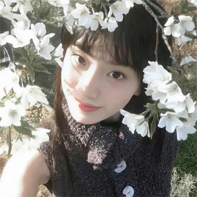阿衰第二季